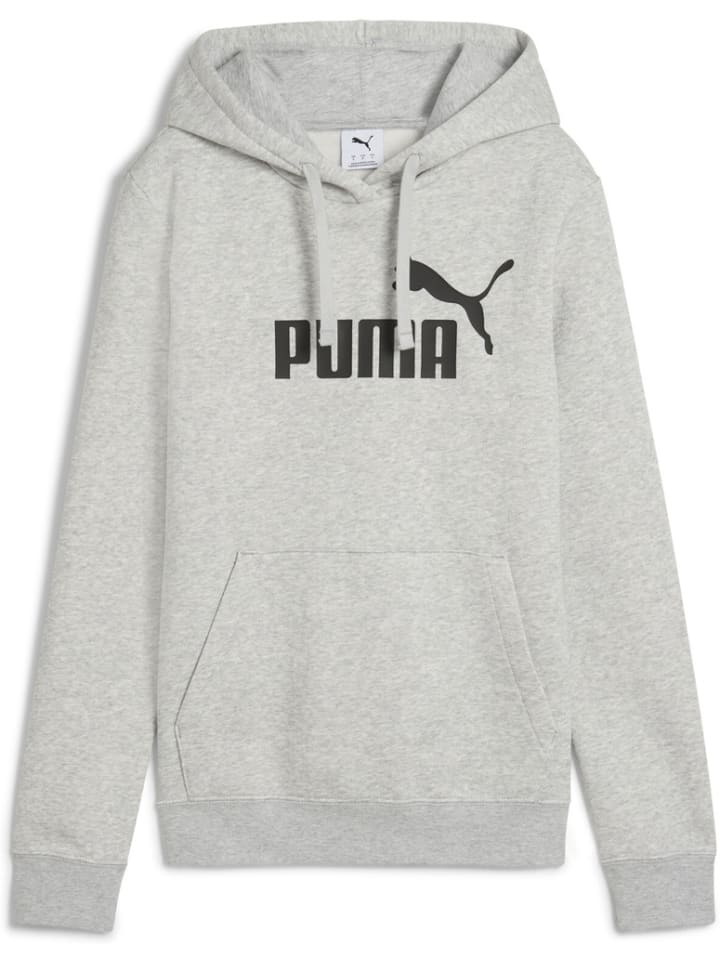 Hoodie "ESS No.1 Logo Hoodie FL" in Grau