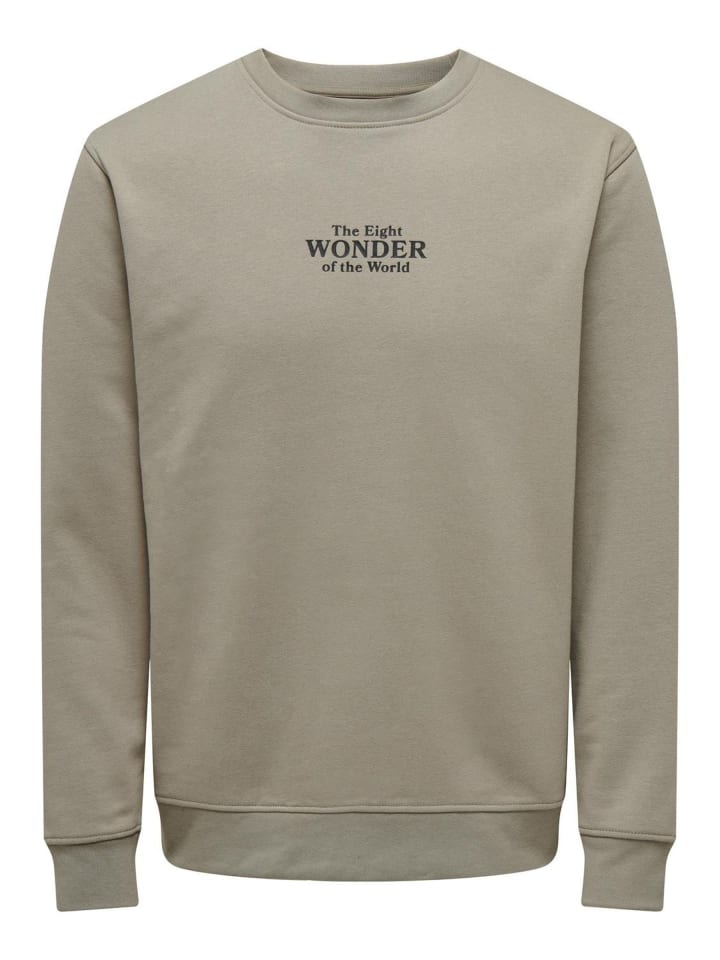Sweatshirt in Vintage Khaki