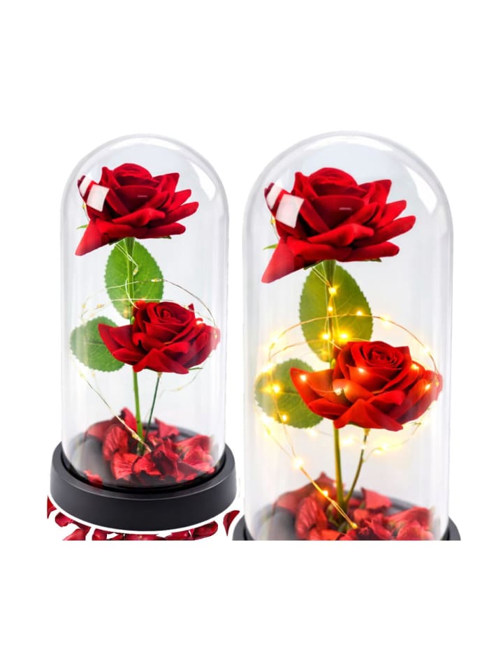 Ewige 2 Rosen Glaskuppel LED Rot 21 cm Geschenk