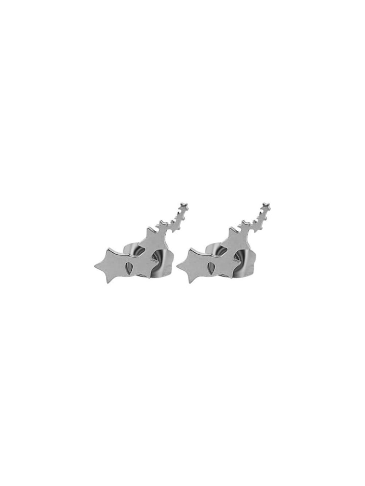 Damen Ohrringe – Ohrstecker aus Edelstahl in silber