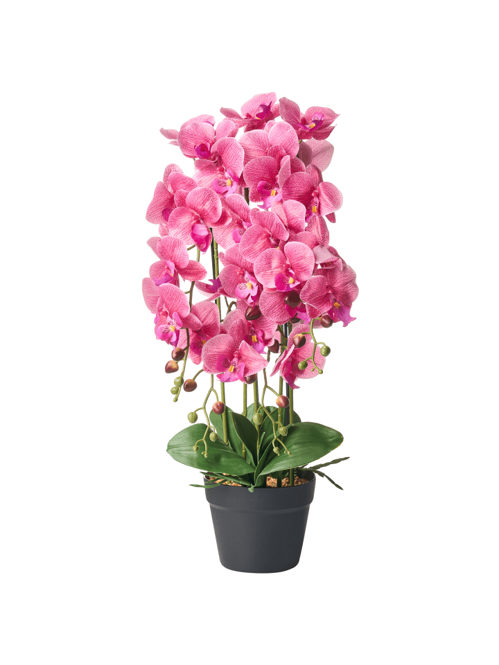 Kunstpflanze ORCHID in Grün/Rosa - (W) 35 x (H) 65 x (L) 35 cm