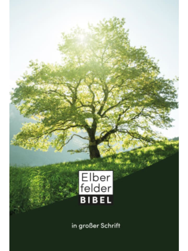 Buch - Elberfelder Bibel in großer Schrift