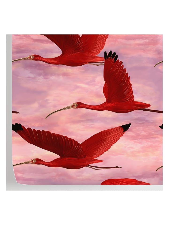 Tapete Tropische in Rosa - (W) 200 × (L) 280 cm