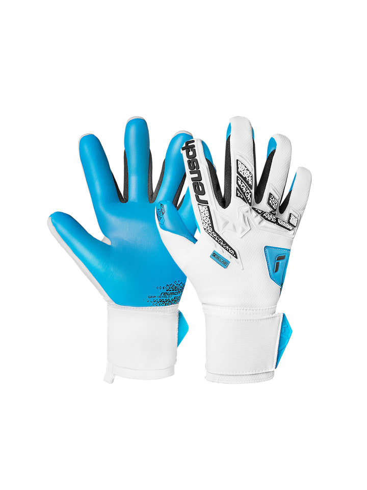 Torwarthandschuhe Attrakt Freegel Aqua in 1126 white/black/aqua blue