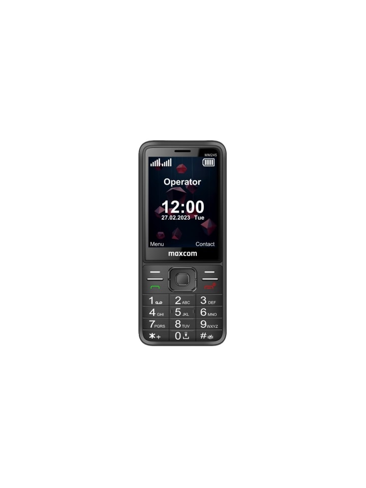 4G Kompaktes Dual-SIM-Handy mit 2,8 Zoll Display und USB-C-Anschluss in Schwarz