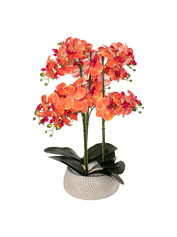 Künstliche Orchidee SANAE im Blumentopf in Mehrfarben, 65 cm