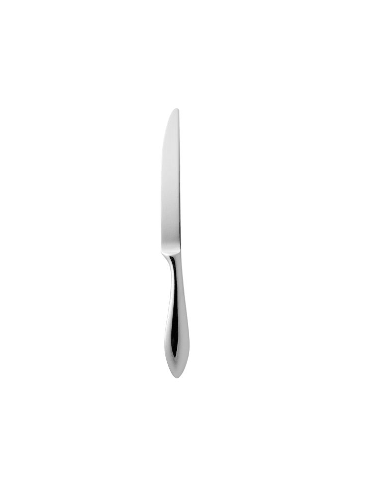 Messer Indra in Glänzender Stahl