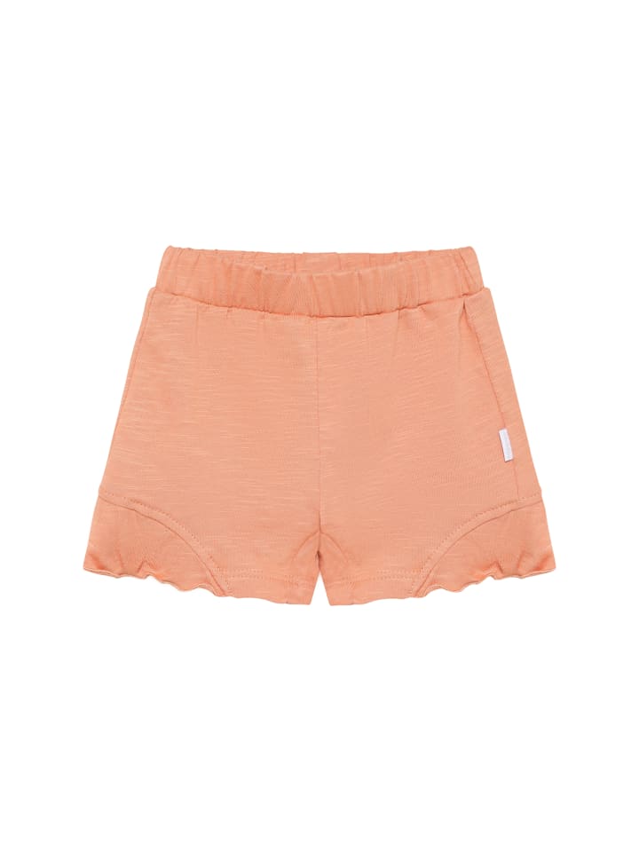 Shorts in Muted Clay