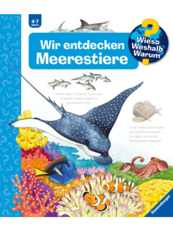 Buch - Wieso? Weshalb? Warum? Band 27 - Wir entdecken Meerestiere