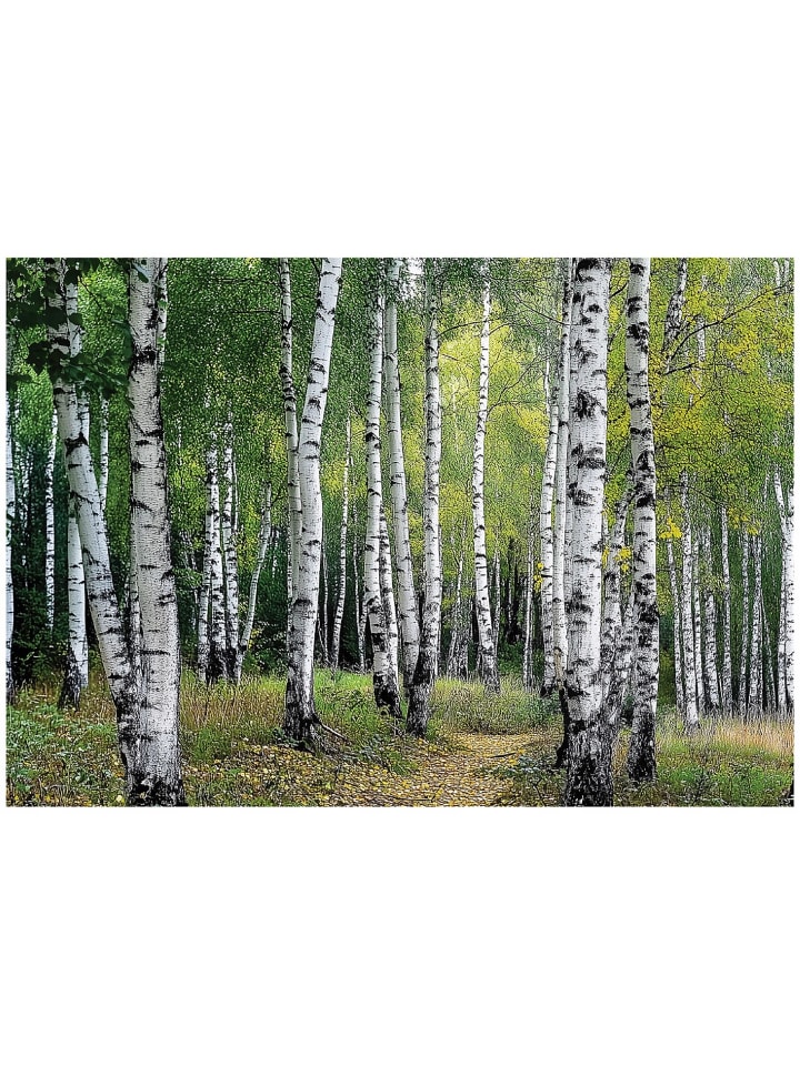 Fototapete Wald in Grün
