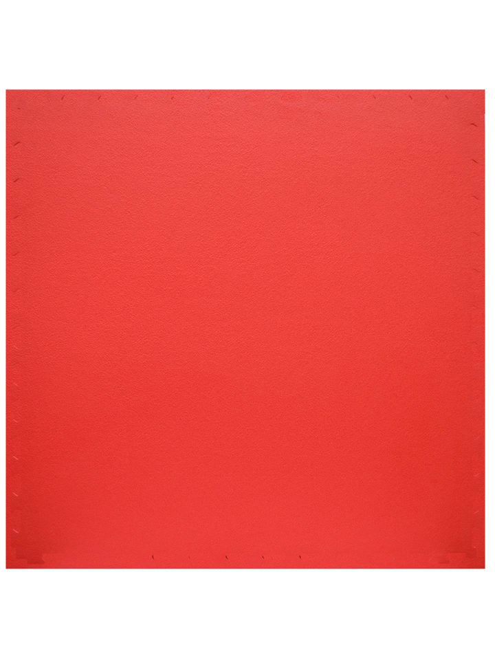 Kampfsportmatte Hestia 8er-Set in rot