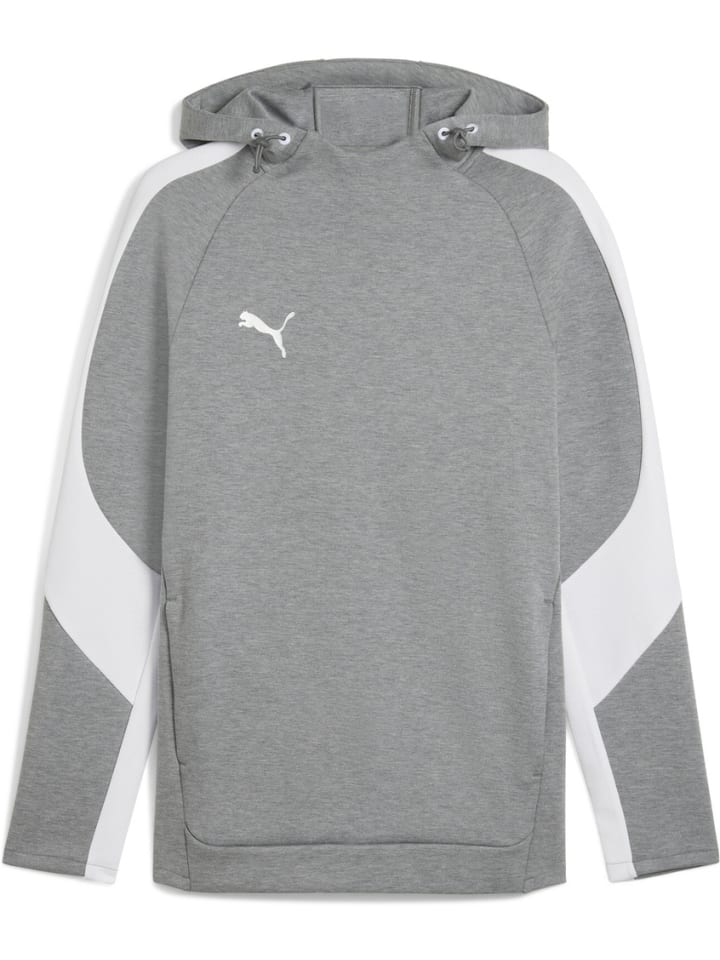 Hoodie "TeamEVOSTRIPE Hoody" in Grau