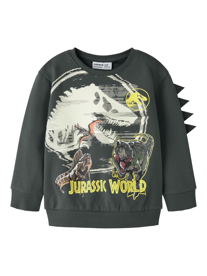 Sweatshirt in Urban Chic1