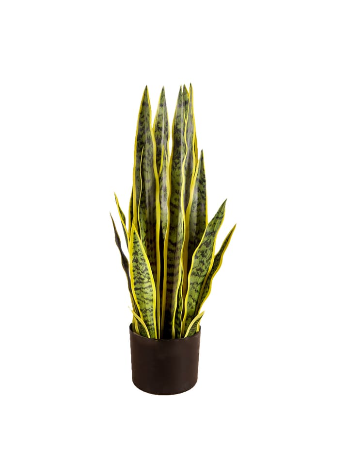 Künstliche Pflanze Schlangenpflanze in Grün 65cm