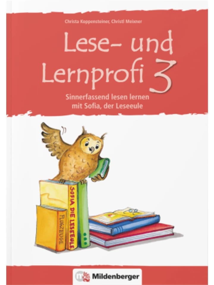 Buch - Lese- und Lernprofi 3 - Arbeitsheft