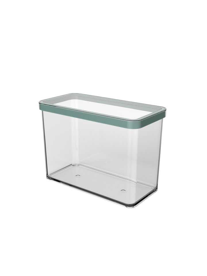 Vorratsdose 2.1 l LOFT in Transparent / Mistletoe grün
