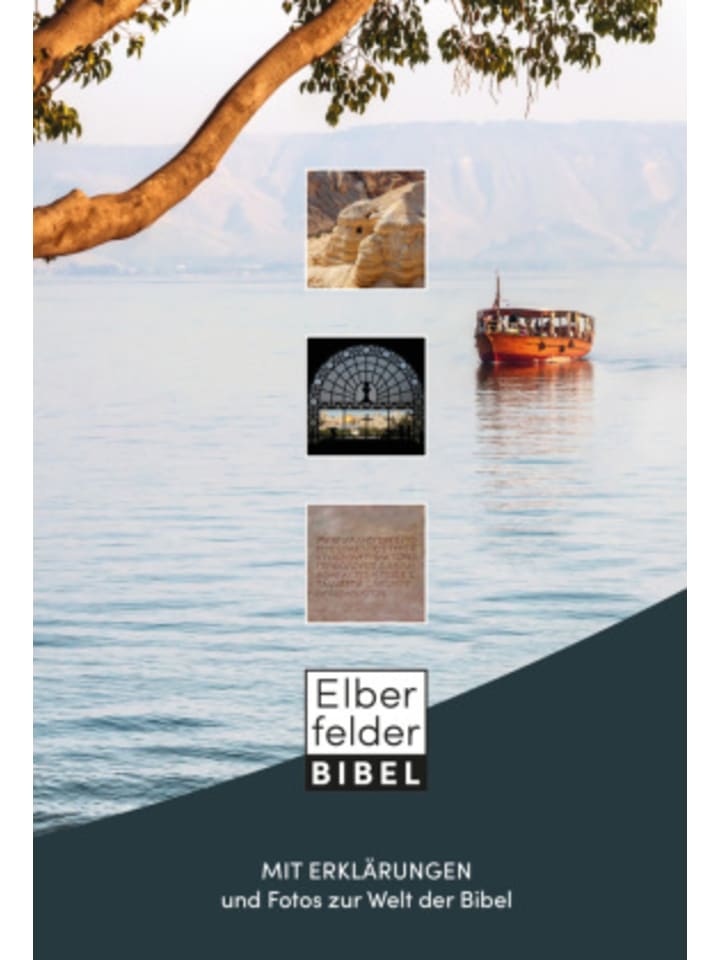 Buch - Elberfelder Bibel mit Erklärungen