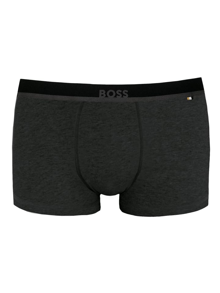 Trunk 365 Solid in Grau