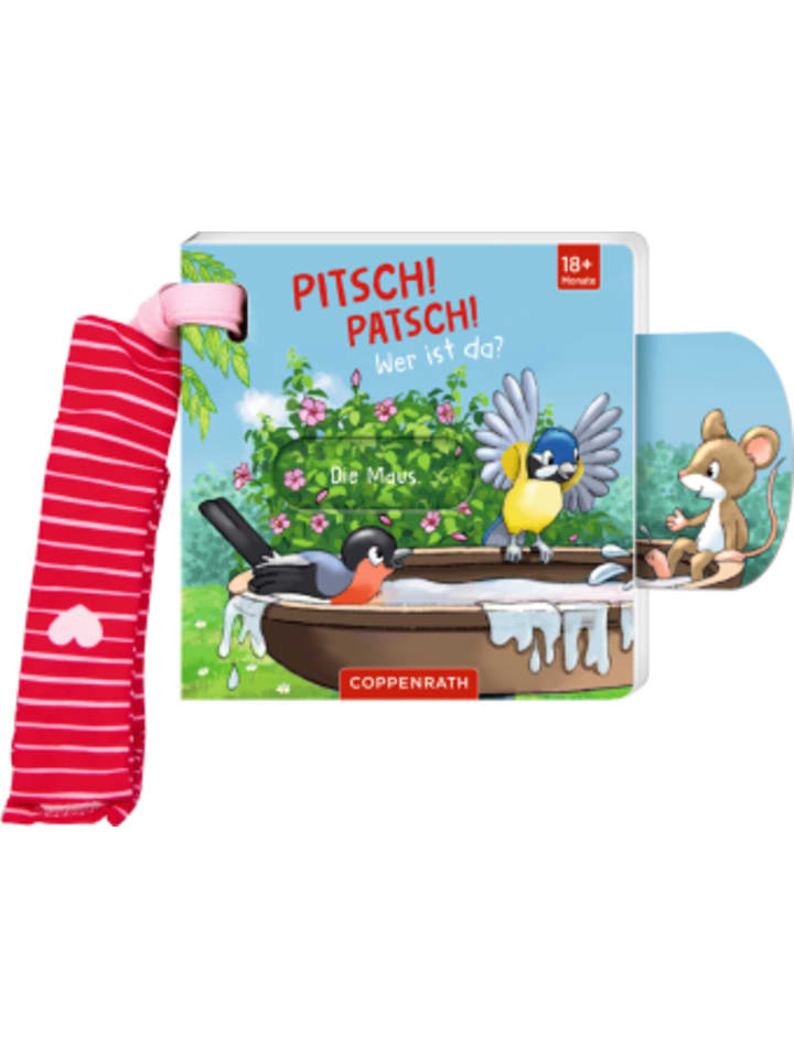 Buch - Mein Schieberbuch für den Buggy: Pitsch! Patsch! Wer ist da?