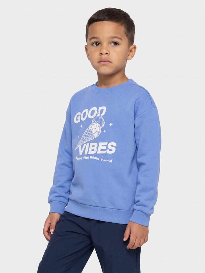 Sweatshirt Hmljr Graphic Kinder in PERSIAN JEWEL