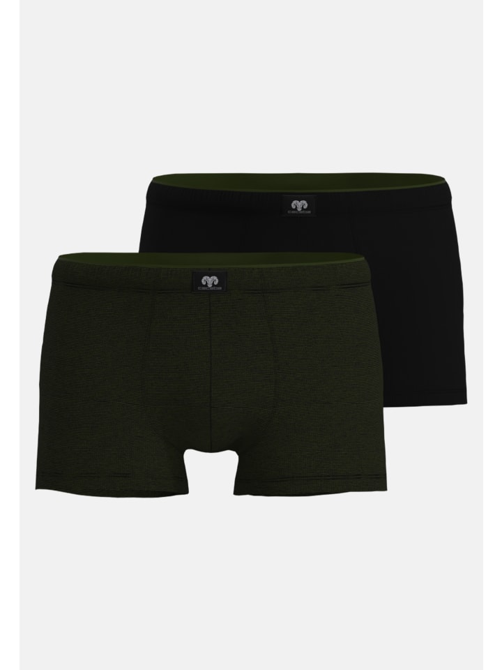 Pants 2Er Pack Ohio in grün-dunkel-Ringel