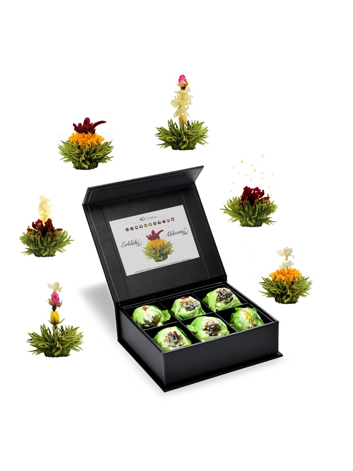  6er Magnetbox ErblühTee Grüntee Fruity Flavor