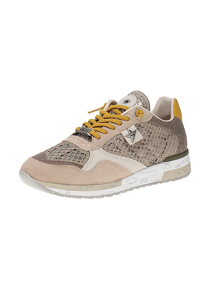 Sneaker low C-848 V26 XL in Mehrfarbig