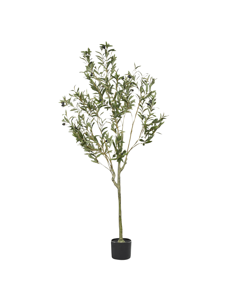 Kunstpflanze OLIVE TREE in Grün/Schwarz - (W) 63 x (H) 153 x (L) 63 cm