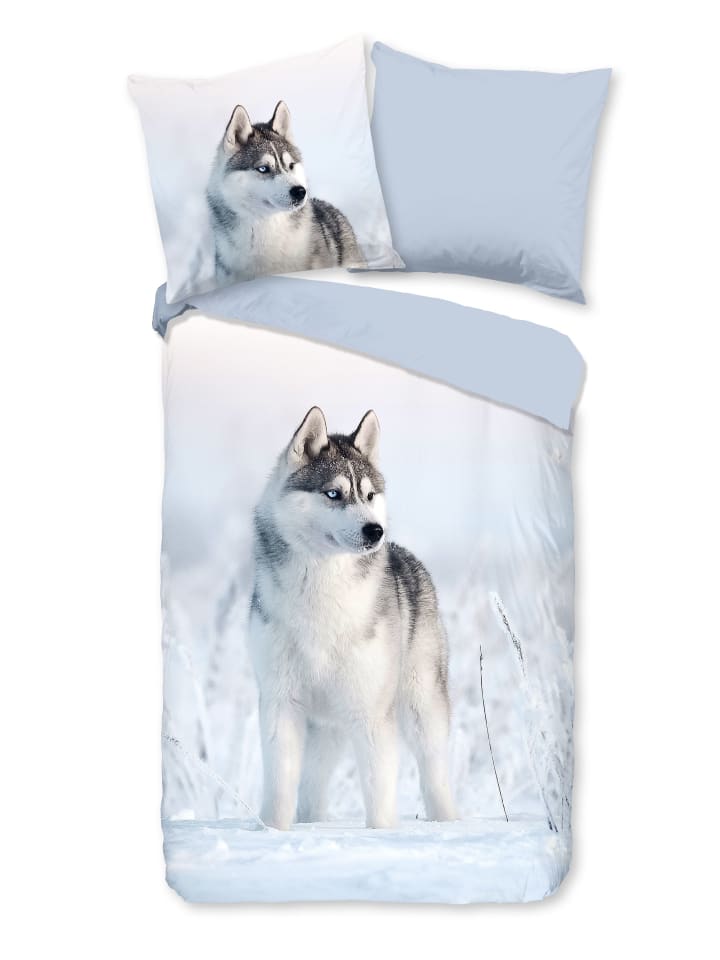 Renforcé Bettwäsche - Sachar - Husky, Schnee, blau in blau