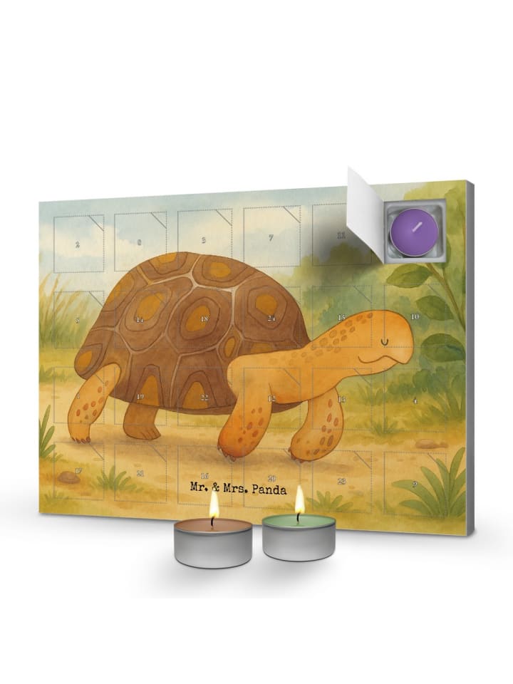 Adventskalender Schildkröte MHerzieren Design ... in Weiß