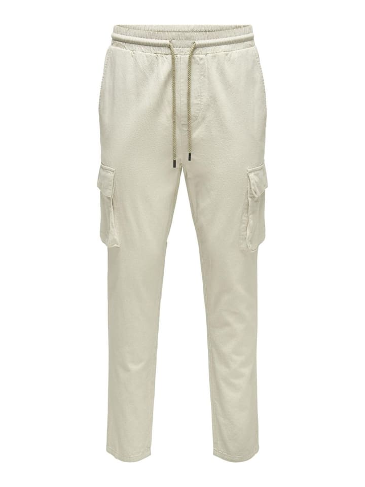 Cargo-Hose in Silver Lining 1