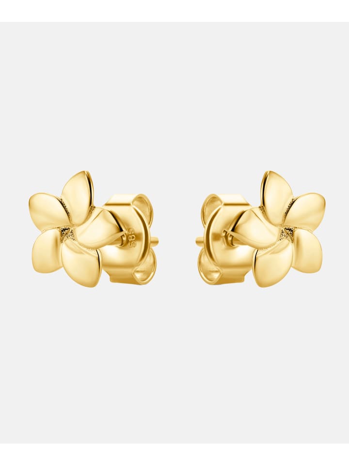 Ohrringe aus 585 Gelbgold