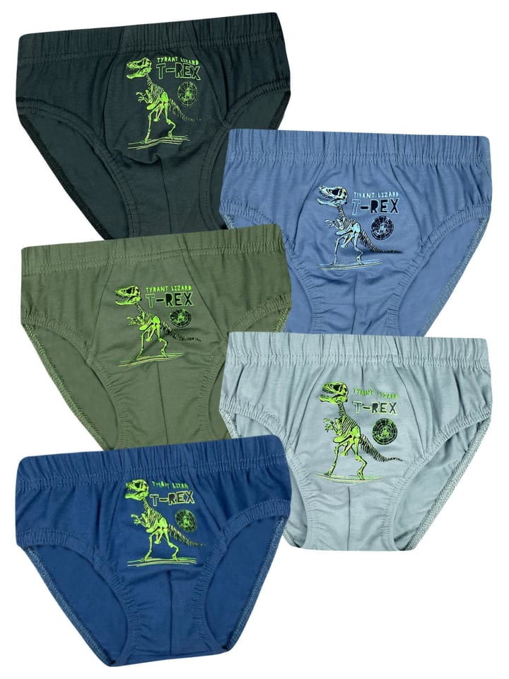 5er Set Slips- T-Rex - Bunt