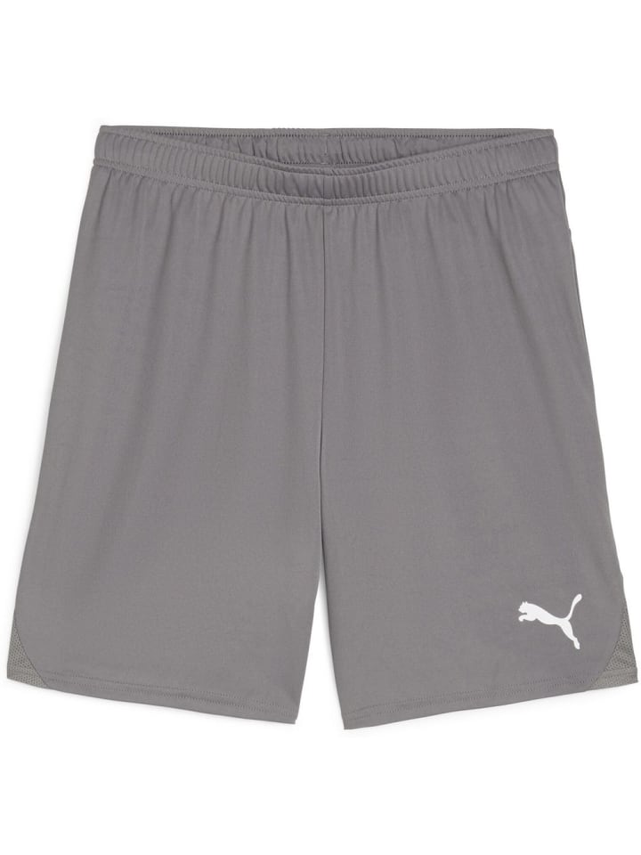 Sporthose "TeamGoal Shorts" in Grau