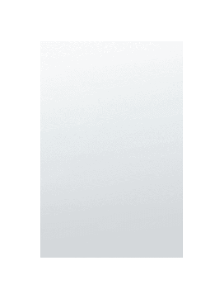 Wandspiegel ANGERS in Silber - (W) 40 x (H) 60 x (L) 0.5 cm Vertikal
