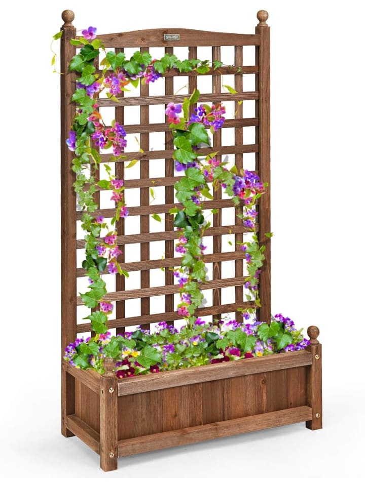 Blumenkasten mit Rankgitter 64,5 x 28 x 120 cm in Braun