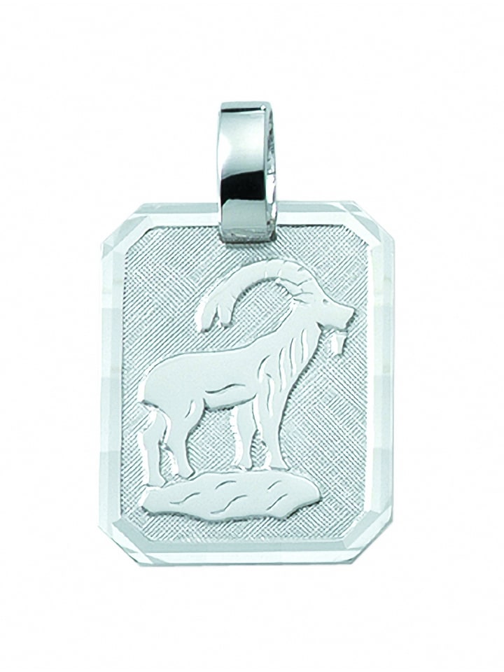 Damen & Herren 925 Silber Sternzeichen Anhänger Steinbock in silber