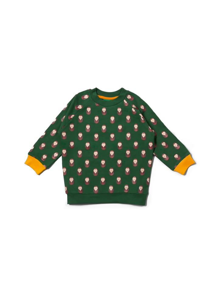 Organic Cotton Sweatshirt in Green