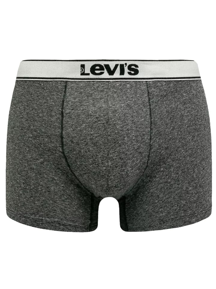 Levi's Boxer 2 Pairs Briefs in Grau