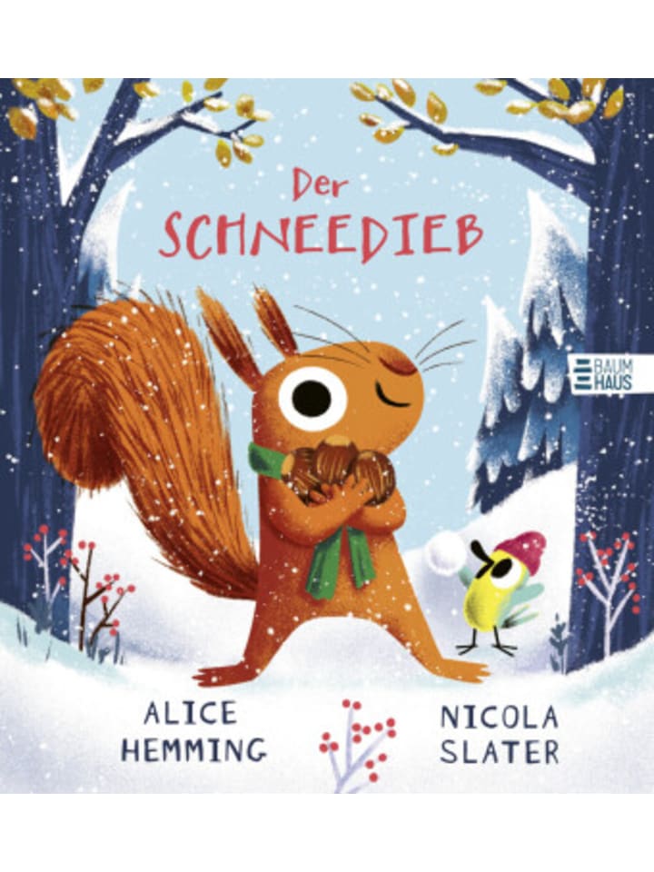 Buch - Der Schneedieb