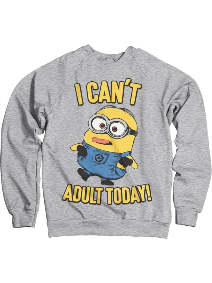 Pullover in Grau