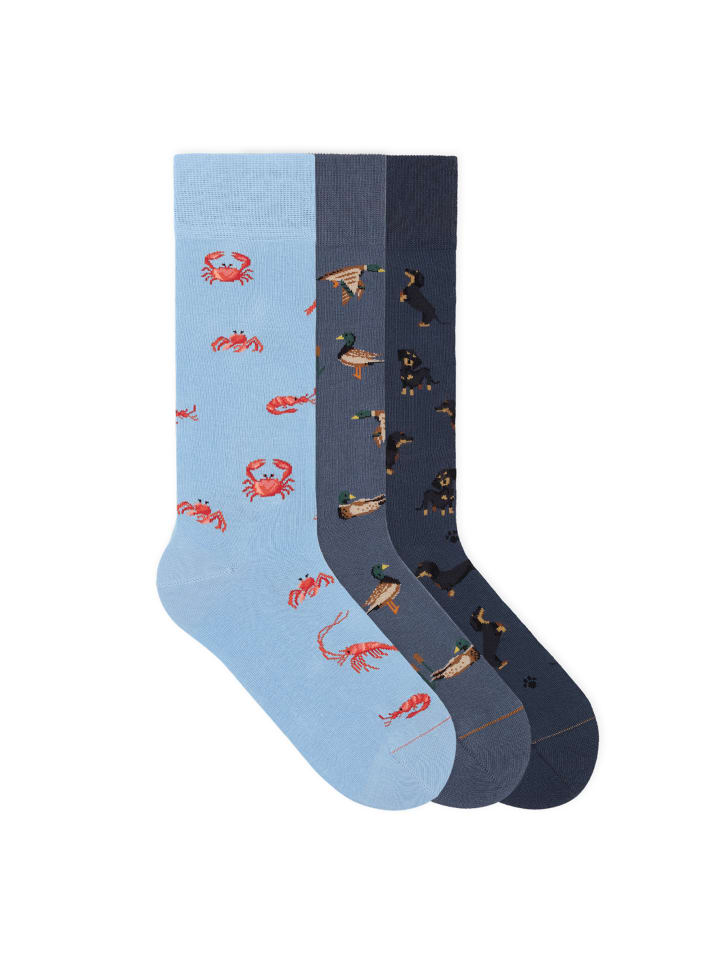 Motivsocken Seasonal Icon Bundle in Crab/Duck/Dachshund
