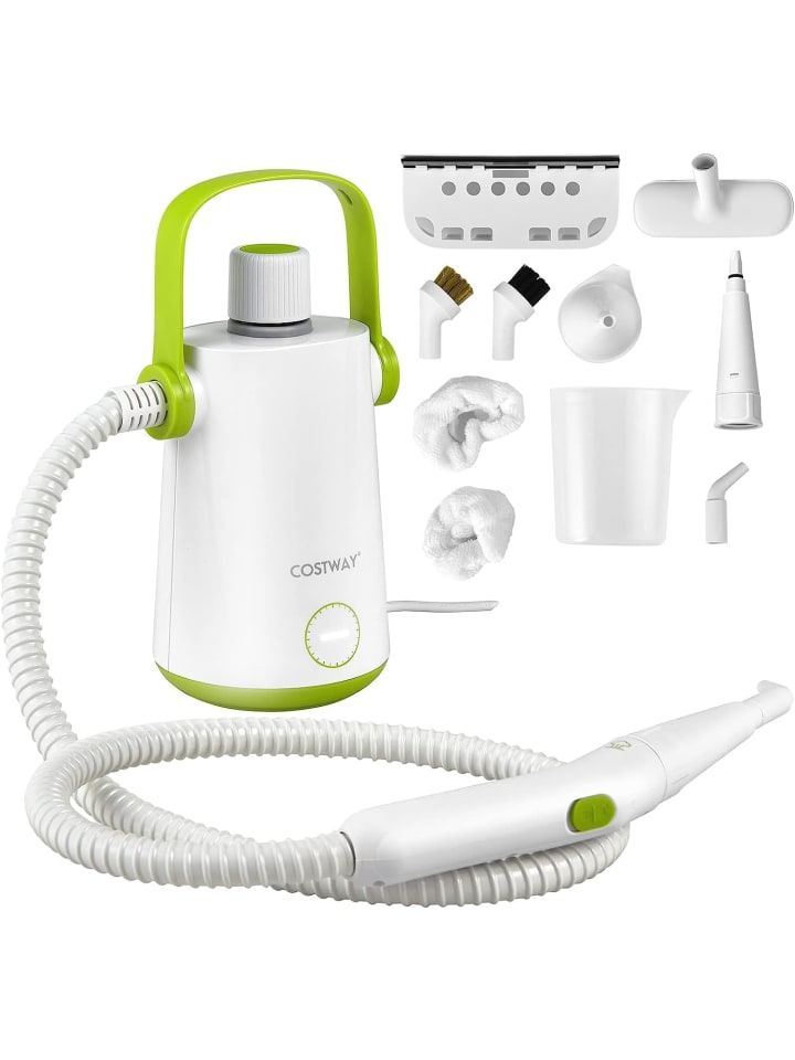 Dampfreiniger 1000W inkl. 10 Zubehör in Grün