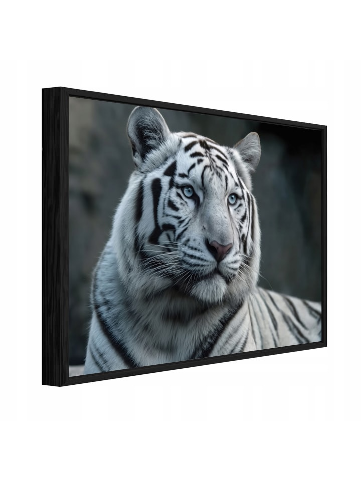 Bild mit Rahmen Tiger in Weiß