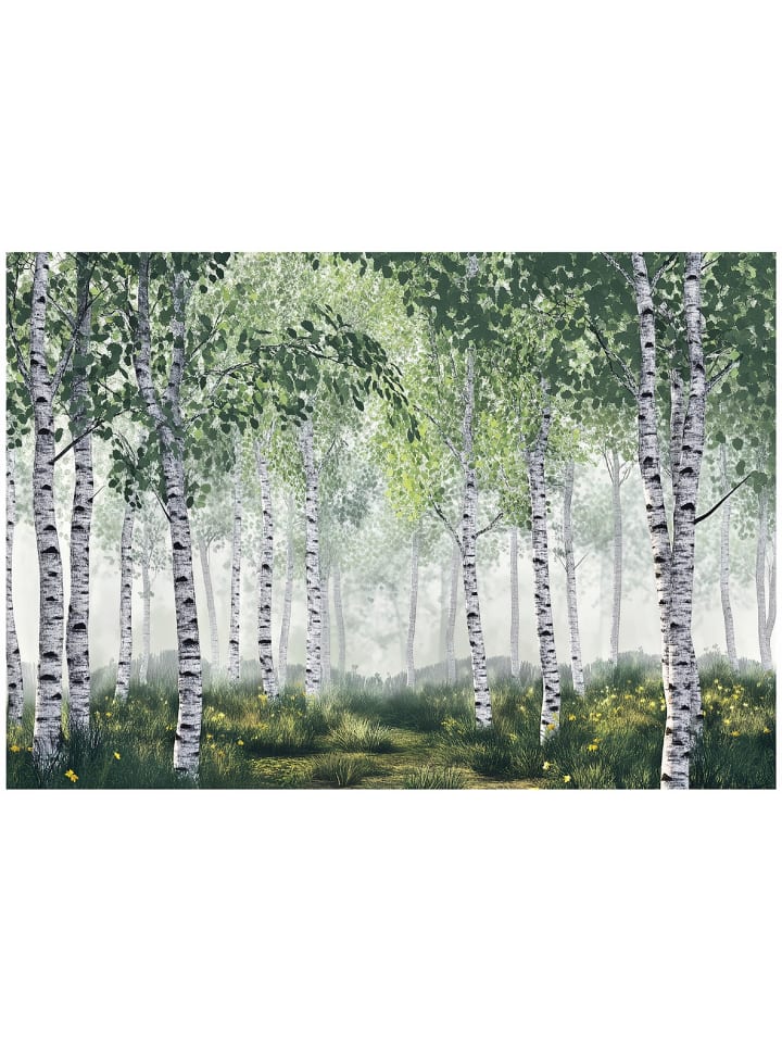 Fototapete Birkenwald in Grün