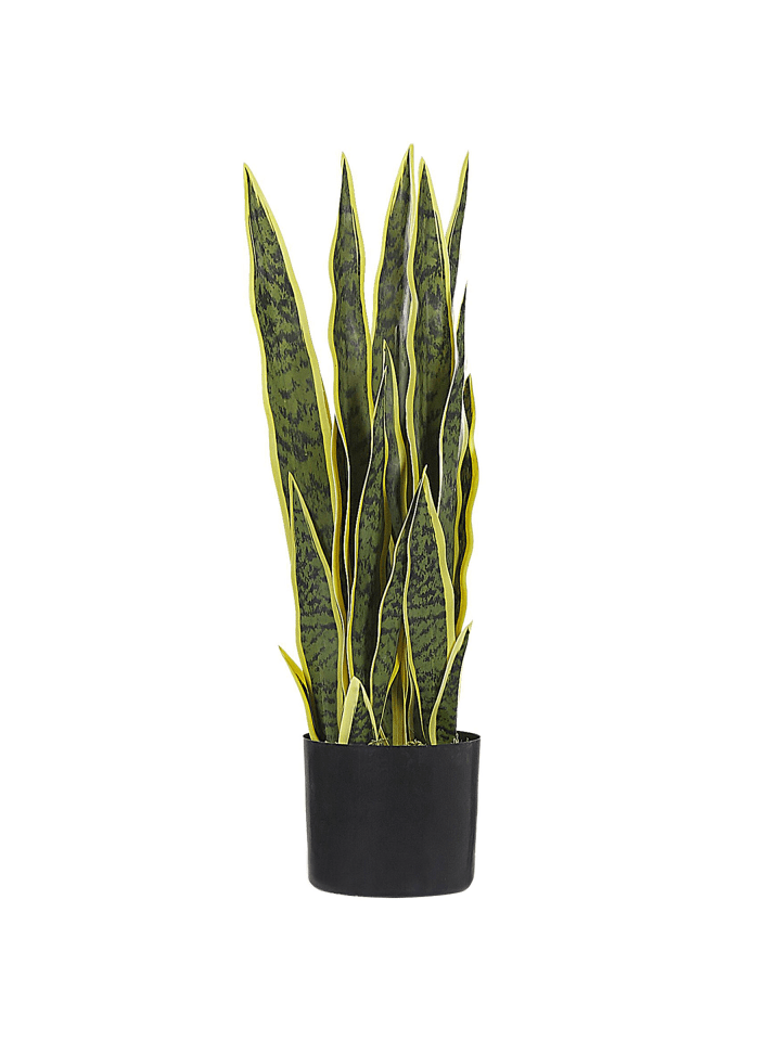 Kunstpflanze SNAKE PLANT in Grün/Schwarz - (W) 15 x (H) 63 x (L) 15 cm