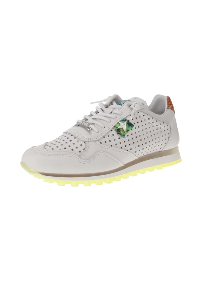 Sneaker low C-848 SRA EXP V25 in Weiß