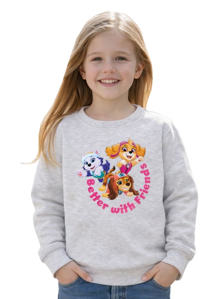 Paw Patrol Sweatshirt Better with Friends Pullover Oberteil Langarm in grau