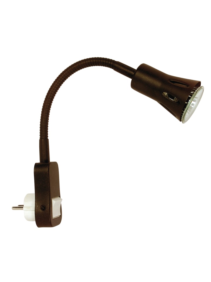 Spot "CLIP" in rost