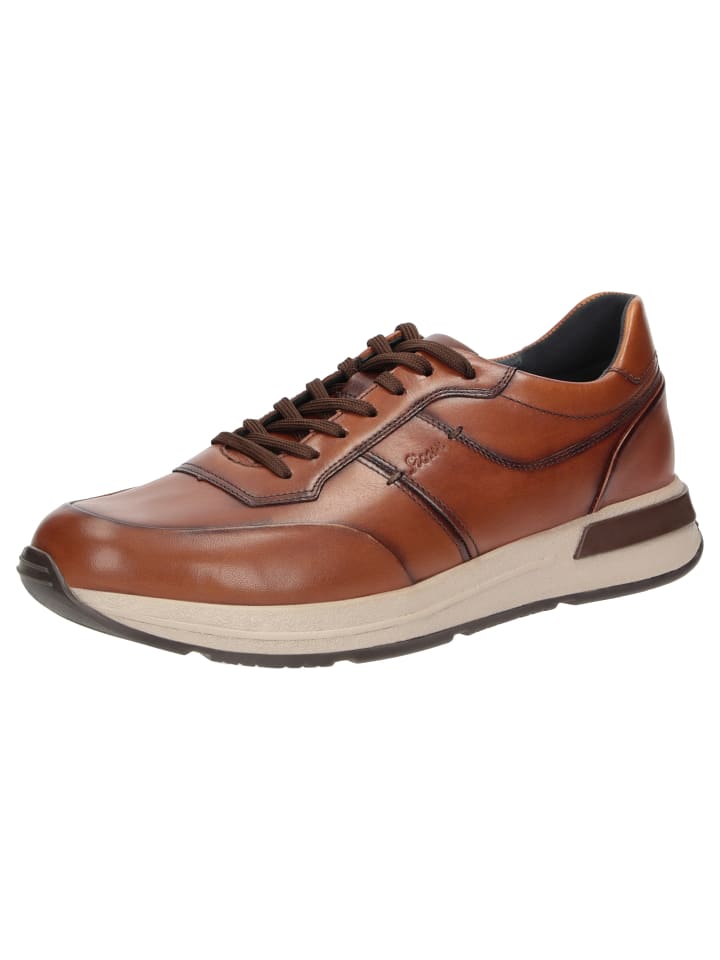 Sneaker Rojaro-720 in cognac
